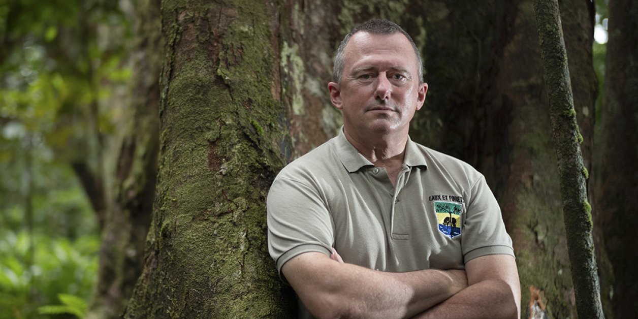 Gabon – Lee White : « Dans dix ans, nous visons 10 milliards d'euros de  revenus grâce à nos forêts » - JEUNEAFRIQUE