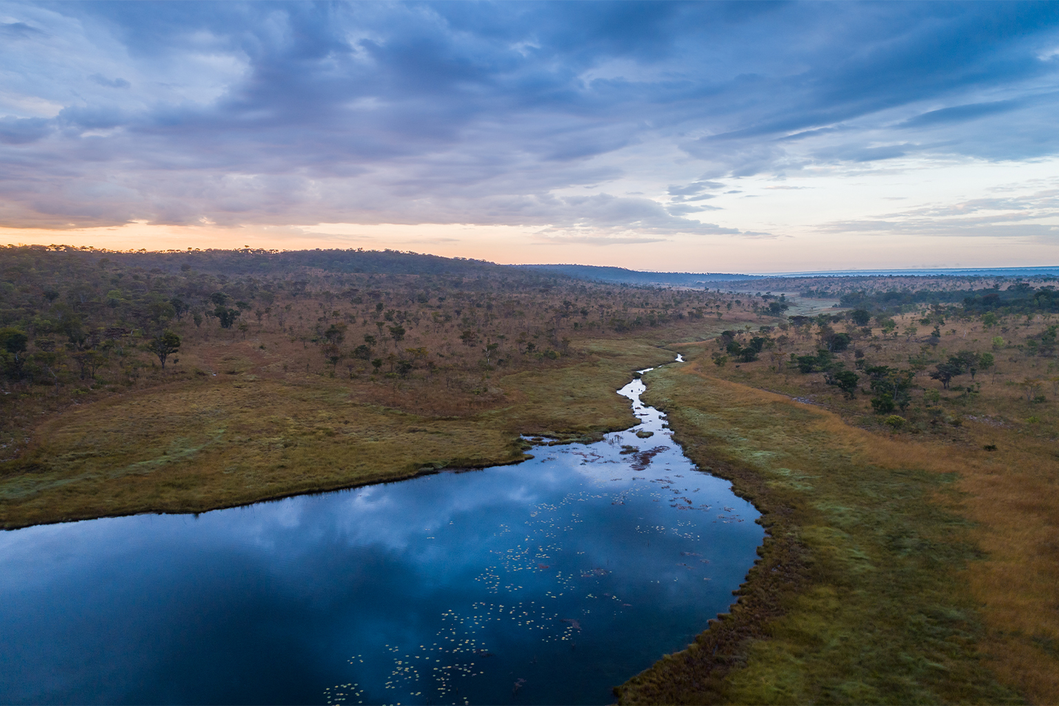 Vue aérienne des tourbières près du lac de source de la rivière Cuando, en Angola. Photo © Kostadin Luchansky/National Geographic Okavango Wilderness Project.