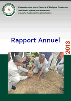 Couverture du rapport annuel 2013