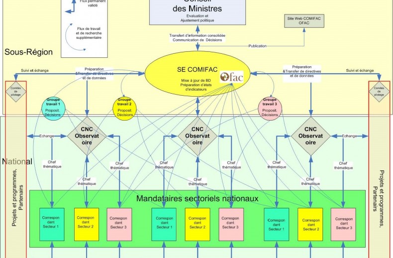 Schéma du flux d'information du système de suivi évaluation de la COMIFAC